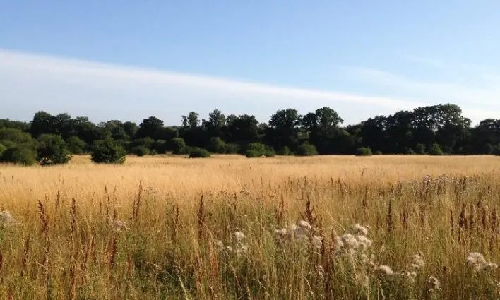 Eden Valley Woodland Burial Ground